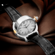 Andersen Geneve Cabinet de Curiosites 