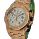 Audemars Piguet Royal Oak OffShore 