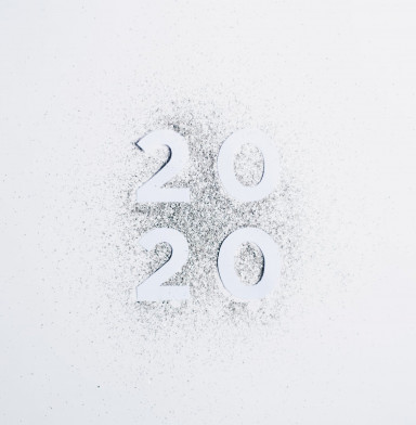 What Will the Year 2020 Be Remembered For? Part I