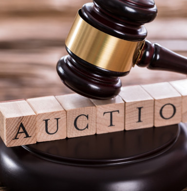 Watch Auctions Results