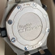 Audemars Piguet Royal Oak Offshore Diver 